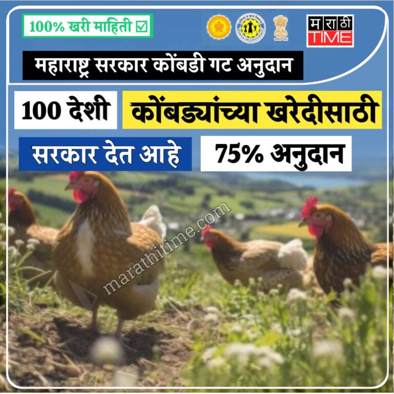100 देशी कोंबड्यांच्या खरेदीसाठी सरकार देणार 75 टक्के अनुदान. प्रत्येक जिल्ह्यातील 1000 लाभार्थ्यांना होणार फायदा